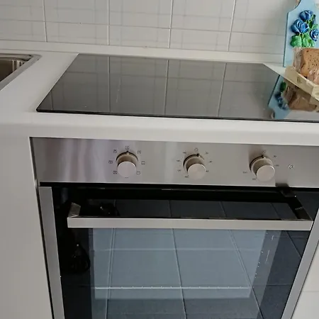 Green54blu Проживание в семье